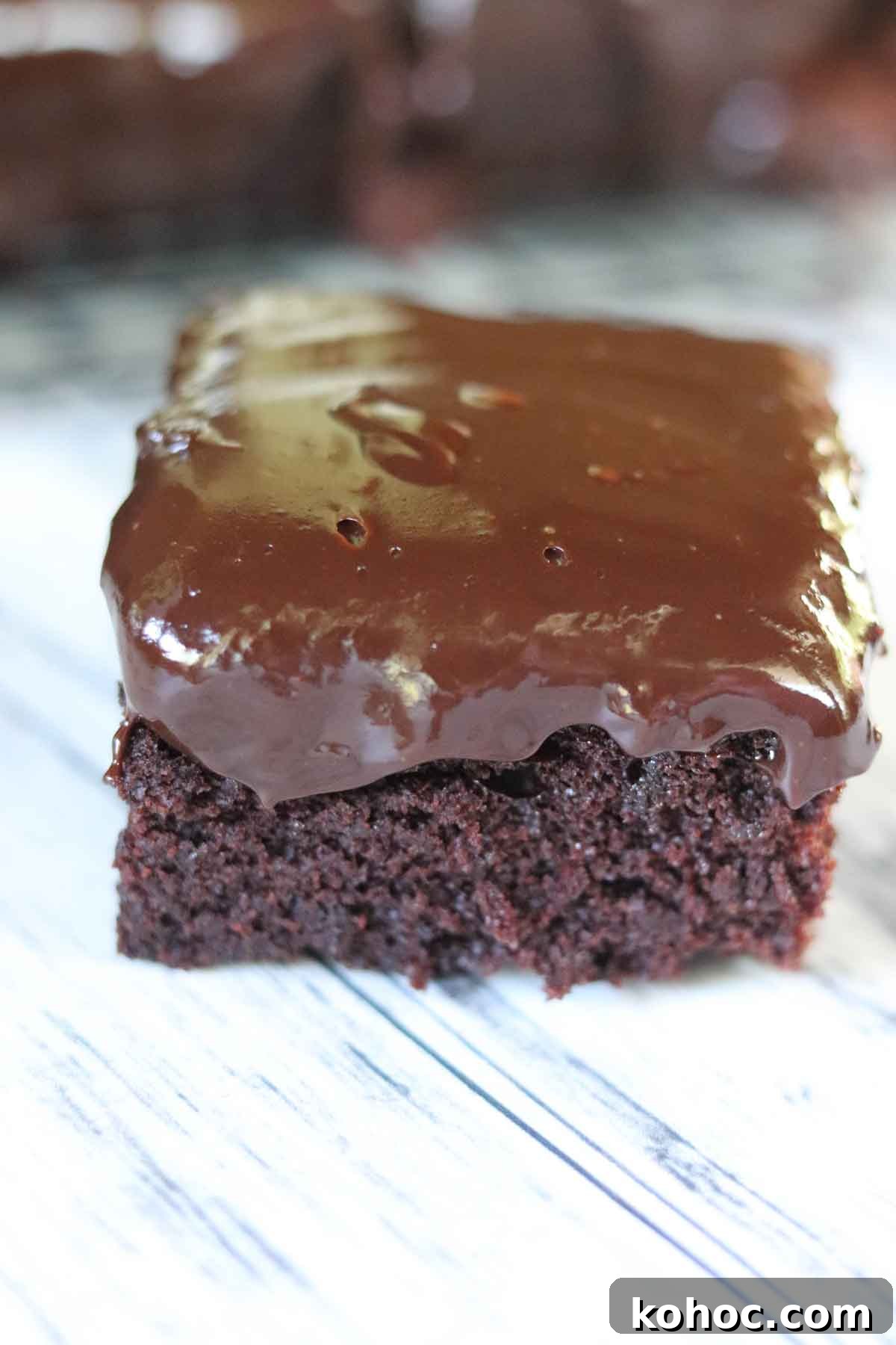 Autumn Spice Mocha Cake with Coffee Ganache