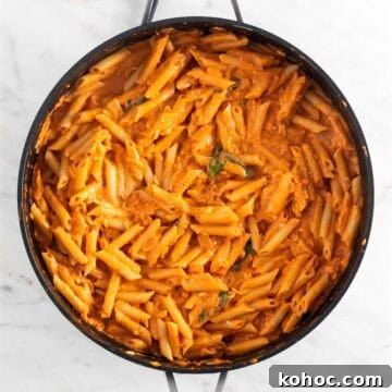 Vegan pasta sauce in a skillet with penne.