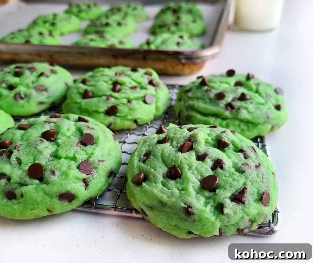 Mint Chocolate Chip Cookies Recipe: Crispy Edges, Chewy Centers 8 mint chocolate chip cookies