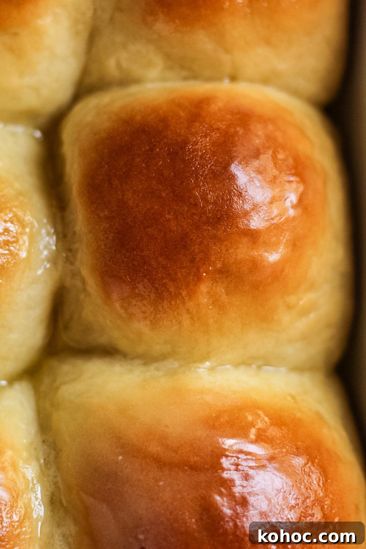 One-Hour Soft and Fluffy Dinner Rolls 3 honey butter rolls in baking dish.