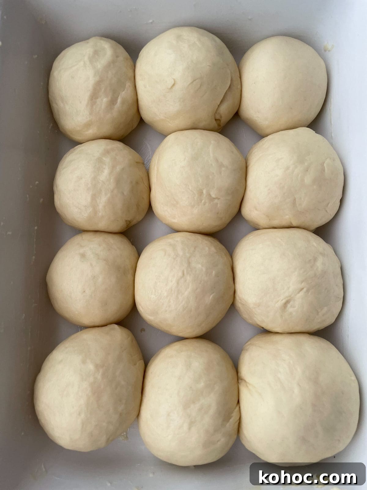 One-Hour Soft and Fluffy Dinner Rolls 6 rolls after rising
