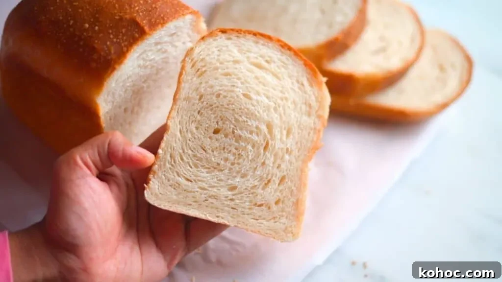 soft sourdough sandwich bread