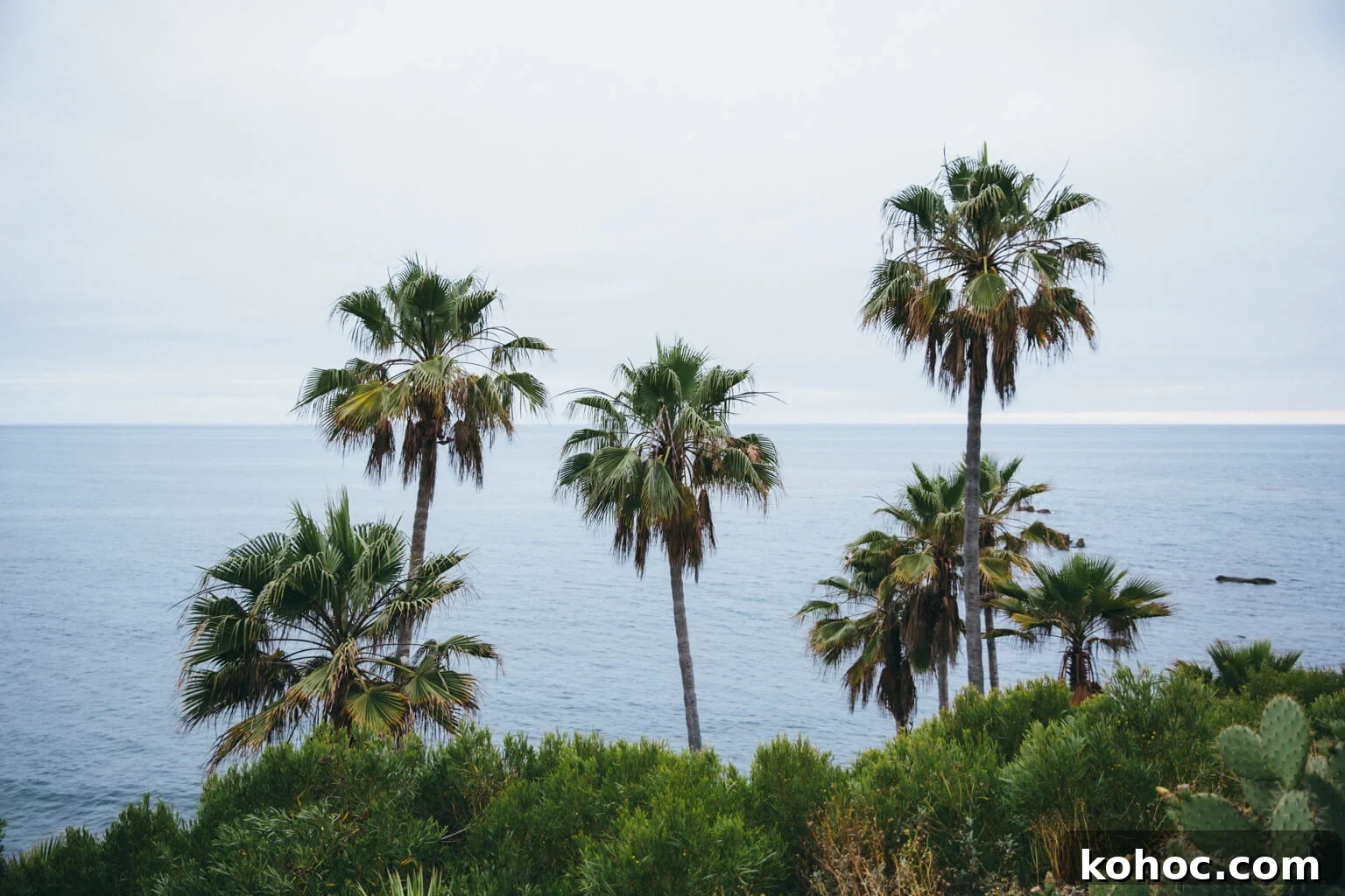 June Favorites: Books, Gear, and Moments I Loved 2 cali beach2-1