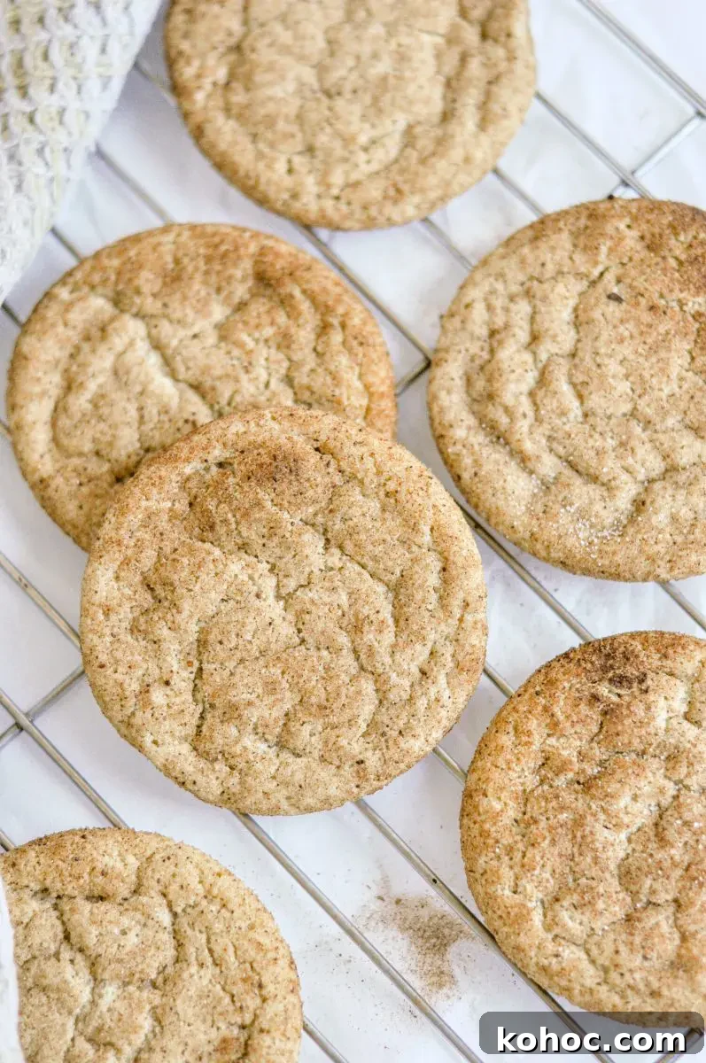 Gluten-Free Dairy-Free Snickerdoodle Cookies Recipe 2 Gluten-free snickerdoodle cookies