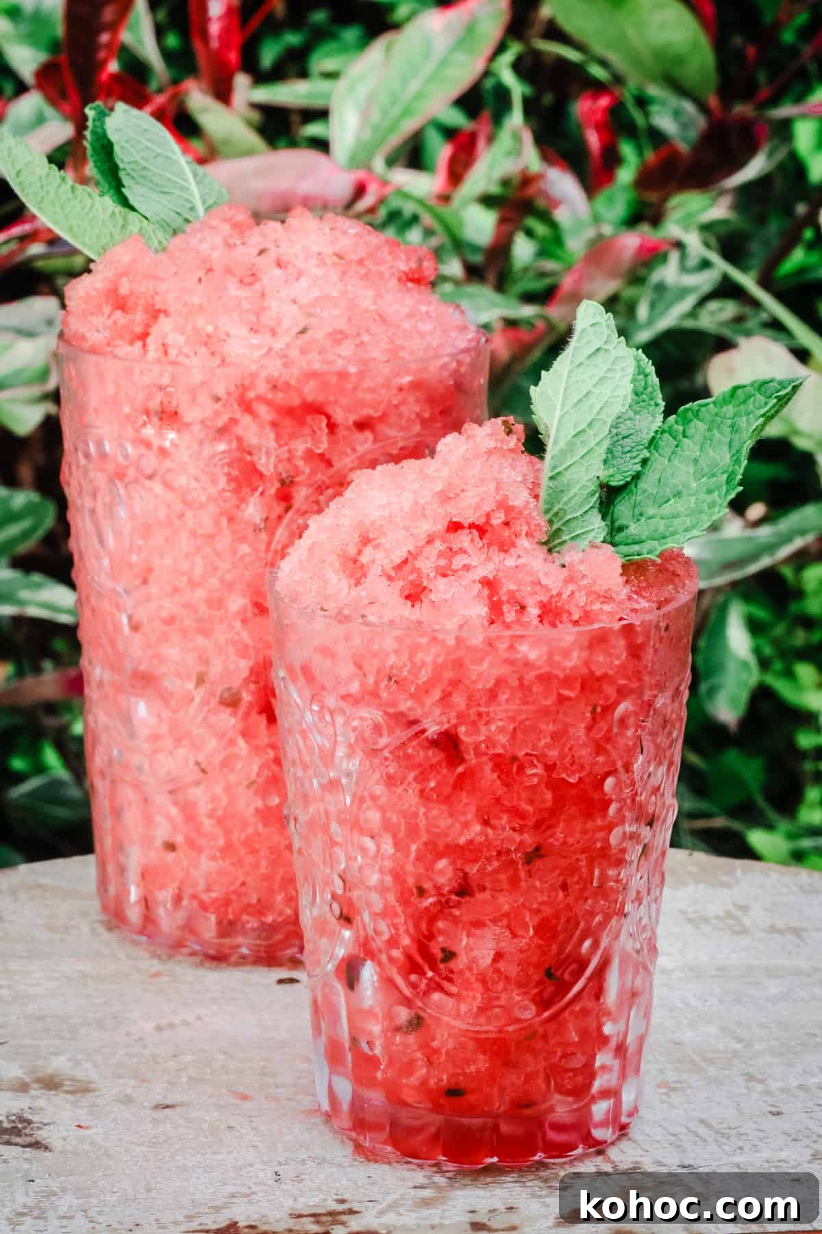 Watermelon Mint Granita Recipe — Refreshing Summer Dessert 3 Glasses of Watermelon Mint Granita on a table in front of plants