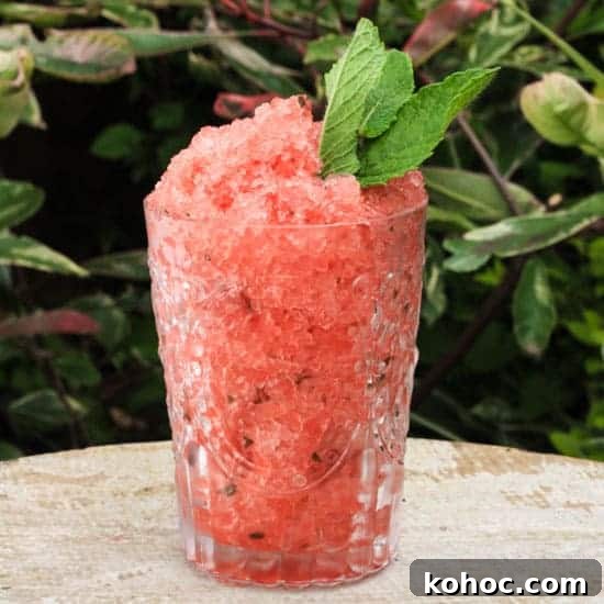 Watermelon Mint Granita Recipe — Refreshing Summer Dessert 6 A glass of Watermelon Mint Granita on a table in front of plants