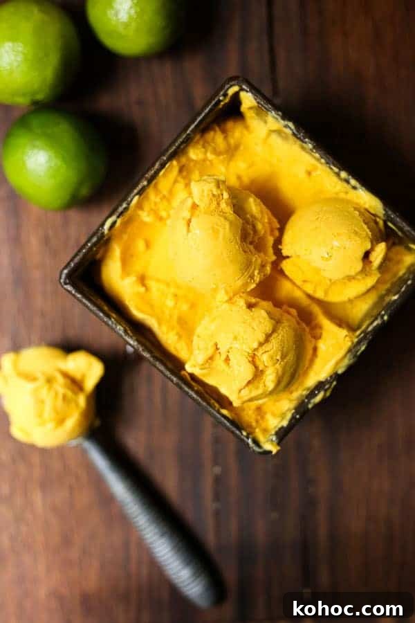 Watermelon Mint Granita Recipe — Refreshing Summer Dessert 7 mango fro yo in a bowl next to spoon of it and limes