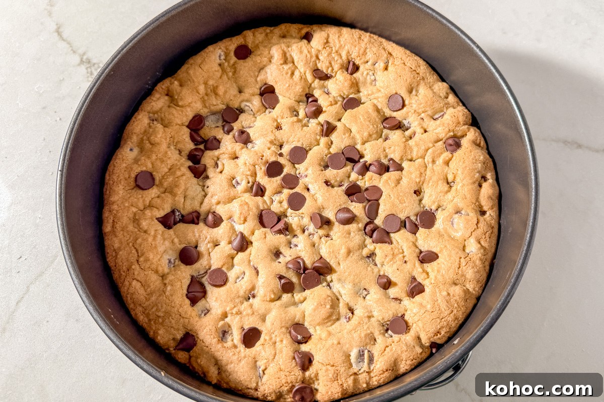 Gluten-Free Cookie Cake Recipe — Soft, Chewy Dessert Cake 13 Freshly baked gluten-free cookie cake in a round metal pan, with golden brown edges and chocolate chips on top.