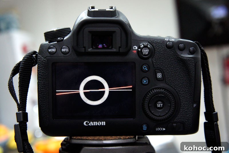 back of canon 6d digital level