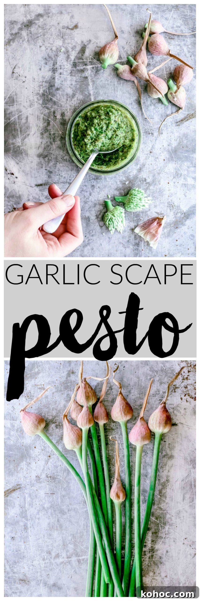 Garlic Scape Pesto | Killing Thyme