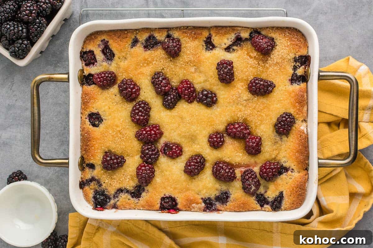 Top down view of blackberry cobbler in a pan.