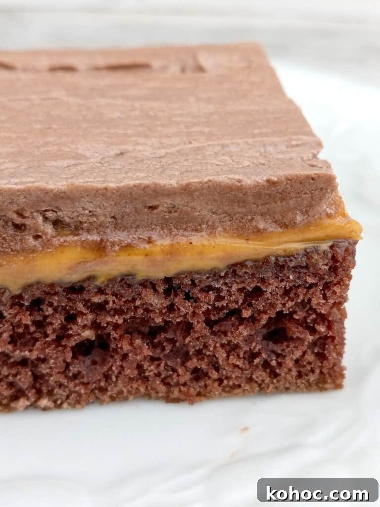Amish-Style Reese’s Peanut Butter Bars Recipe for Dessert 6 Amish Reese's peanut butter bar with traditional frosting on top.