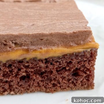 Amish-Style Reese’s Peanut Butter Bars Recipe for Dessert 10 Amish Reese's peanut butter bar on a plate