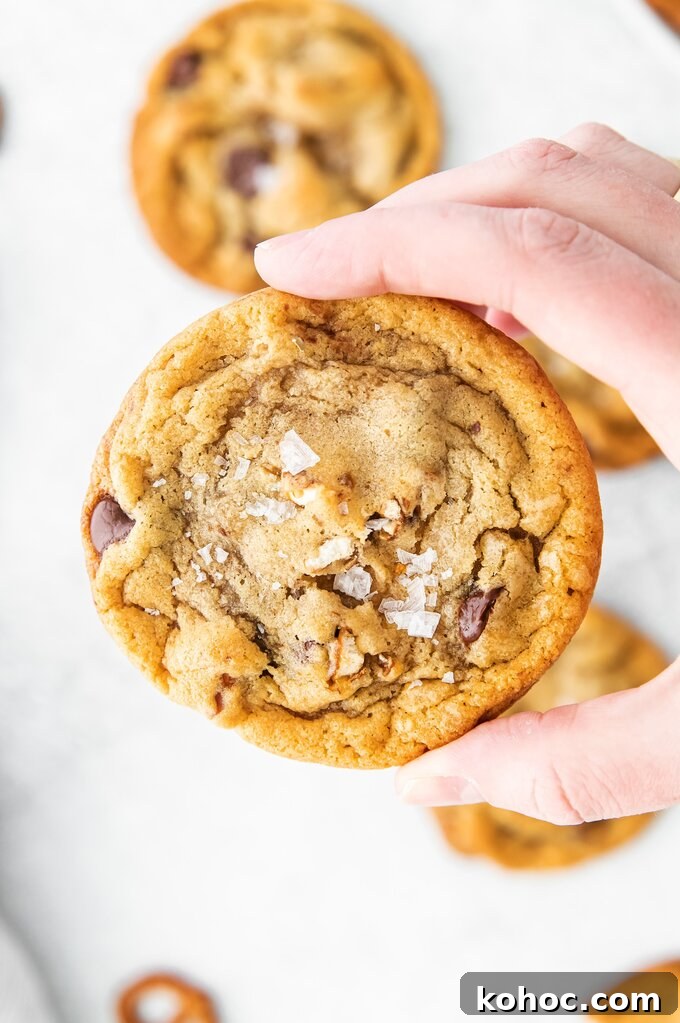Dark Chocolate Pretzel Cookies