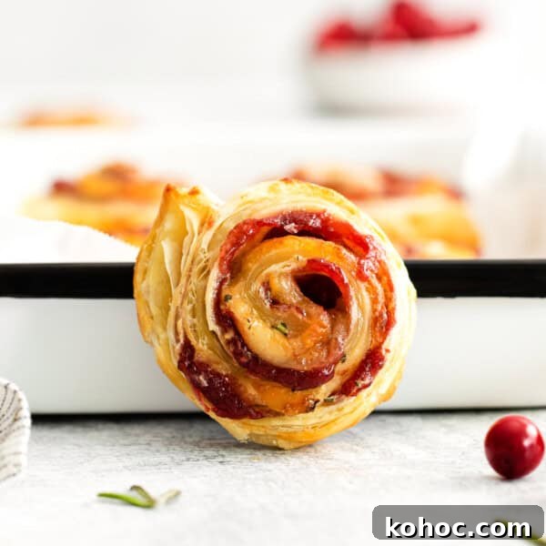 Autumn Cheese Board Ideas for Entertaining 10 Cranberry Brie Pinwheels