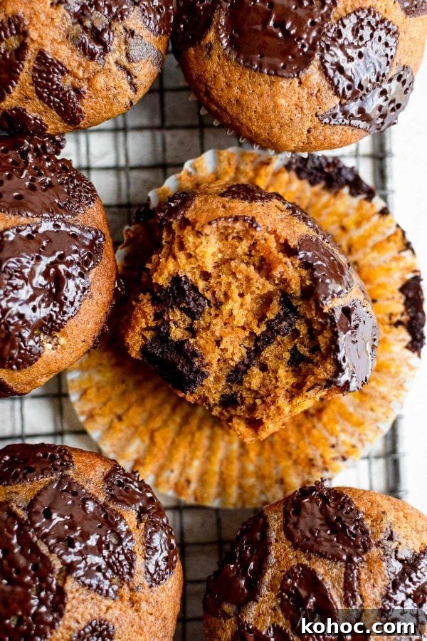 Moist Pumpkin Chocolate Chip Muffins 6 close up pumpkin muffin with bite missing