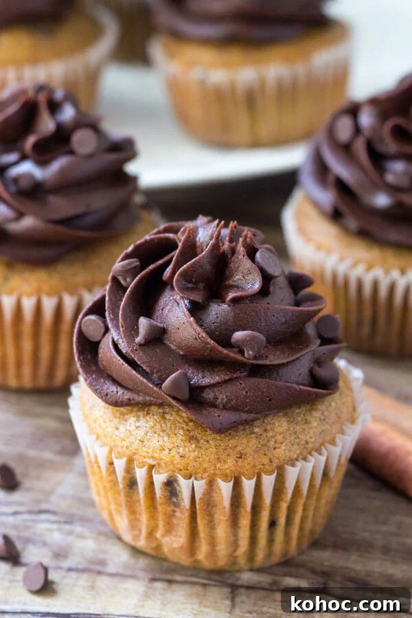 Moist Pumpkin Chocolate Chip Cupcakes with Cinnamon 2 Three pumpkin chocolate chip cupcakes with a plate of pumpkin cupcakes in the background.