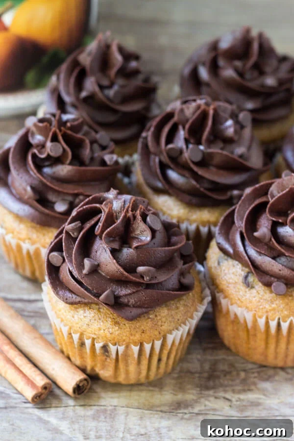 Moist Pumpkin Chocolate Chip Cupcakes with Cinnamon 3 Overhead shot of a group of pumpkin chocolate chip cupcakes topped with chocolate frosting and mini chocolate chips. Jar of pumpkin puree in the background.
