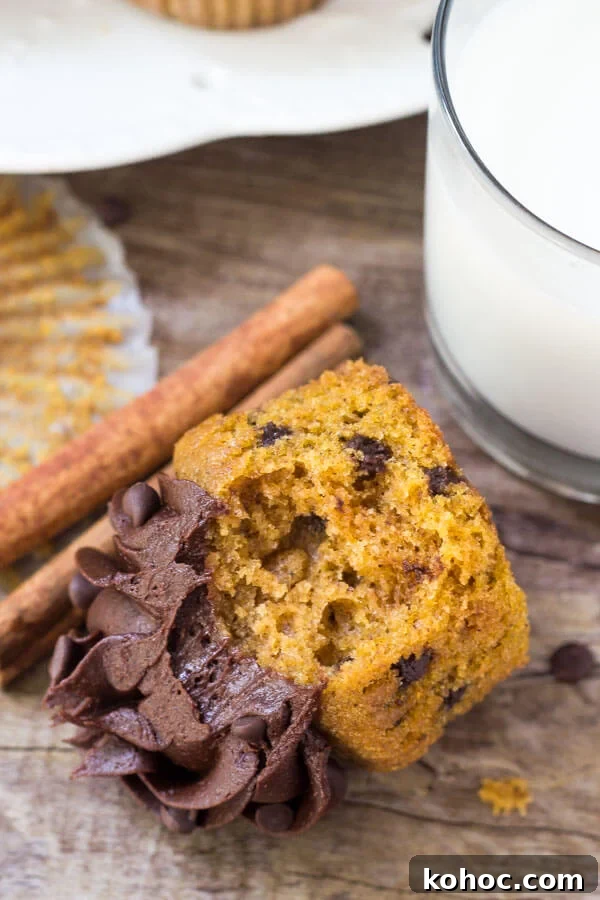 Moist Pumpkin Chocolate Chip Cupcakes with Cinnamon 6 Pumpkin chocolate chip cupcake with a bite taken out of it laying on it's side. Cinnamon sticks, muffin paper and glass of milk in the background.