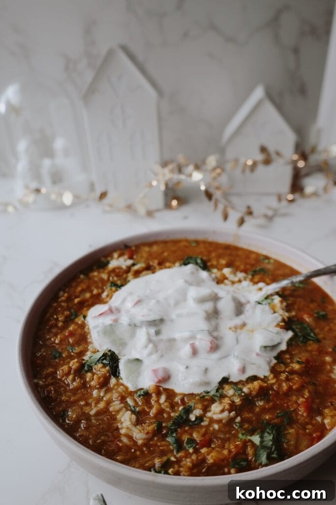 Bowl of soup and rice